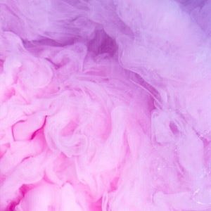 Meet your Posher, Shanelle